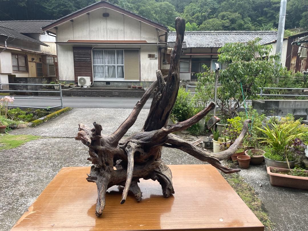 【お値引き相談可】流木 インテリア装飾 置物