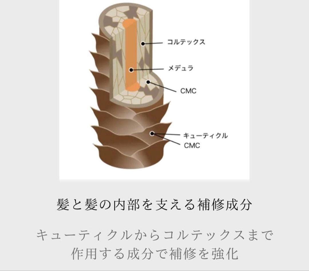 プロテゴ　プレックス剤　レブリン酸
