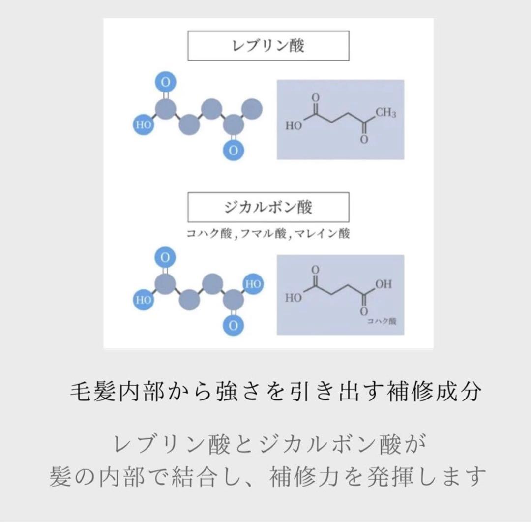 プロテゴ　プレックス剤　レブリン酸