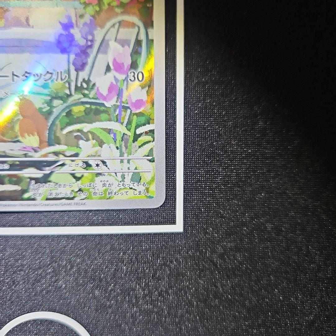 ヒトカゲ AR仕様 プロモ スペシャルデッキセットex