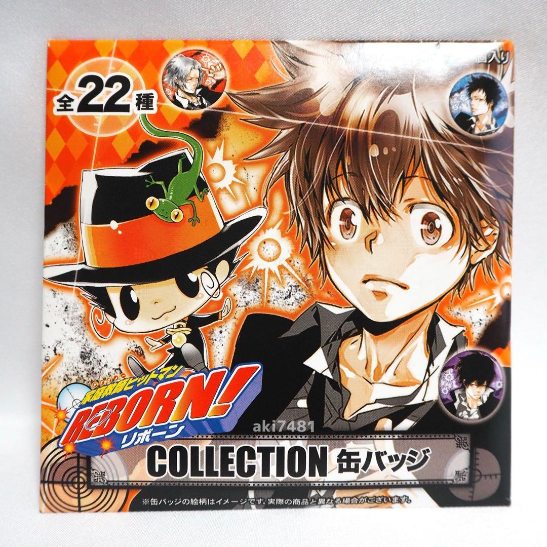 30個セット■家庭教師ヒットマンREBORN コレクション缶バッジ（全２２種）