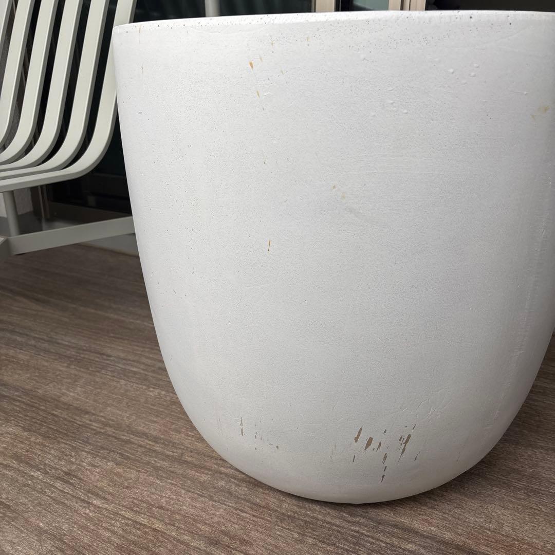 銀座の植物専門店「mokuhon」 大型 植木鉢