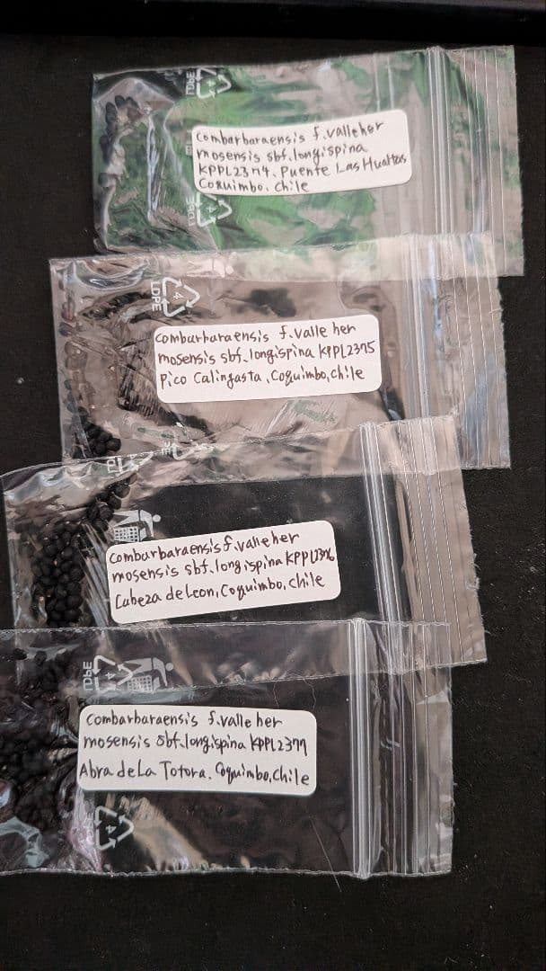 エリオシケ いろいろ種子セット 46種類 各5粒ずつ - メルカリ