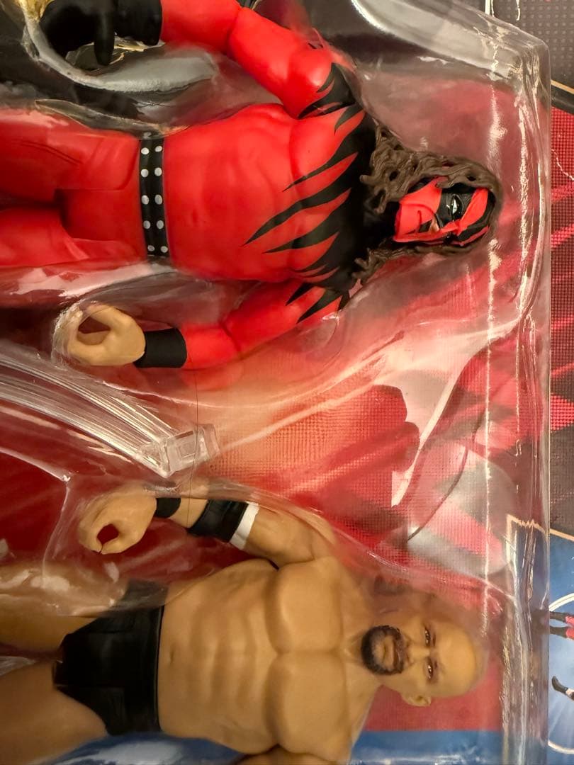 スポーツ WWE Championship Kane & Steve Austin