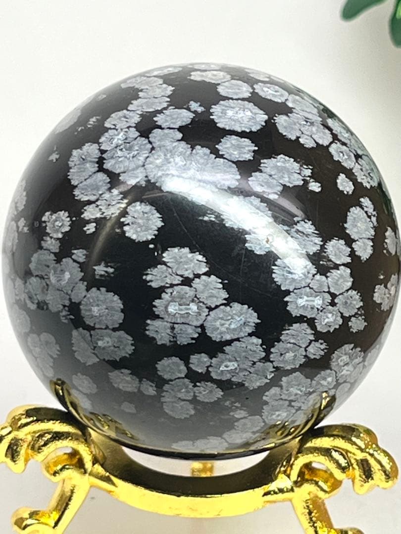 ノブ です⭐️1934