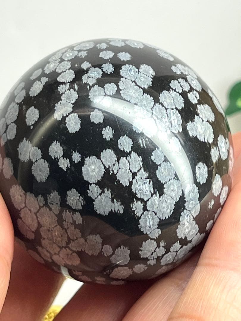 ノブ です⭐️1934