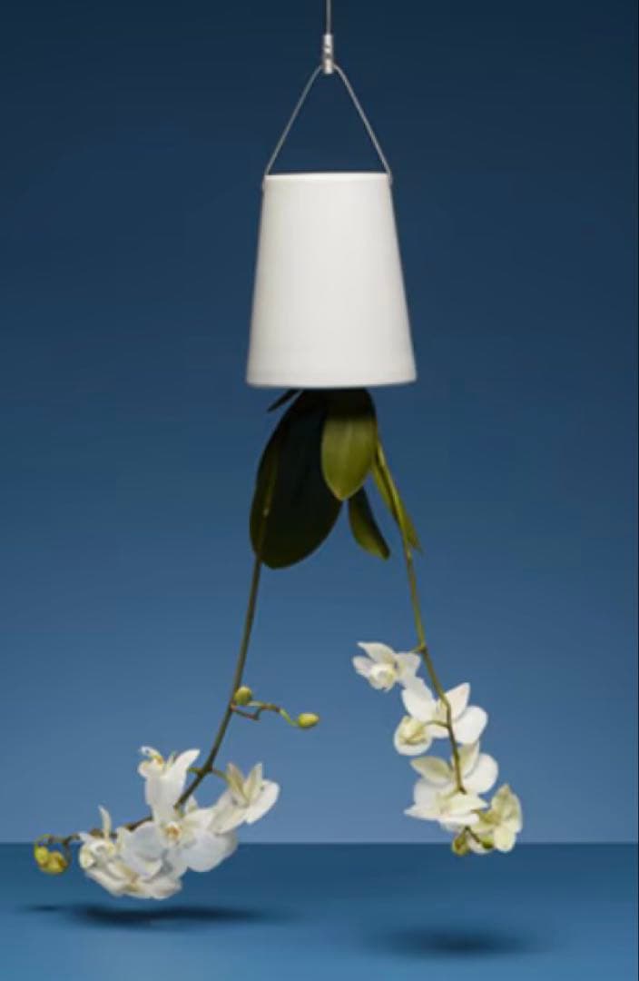 ボスケ　Skyplanterスカイプランター　セラミック　スモール　2個セット