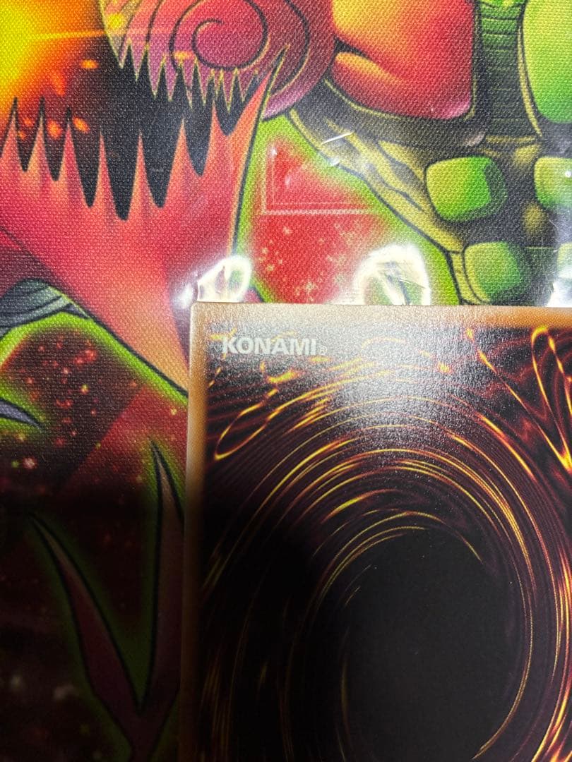 ラッシュデュエル　なほいとをかしかなひめ　広島もみじ饅頭