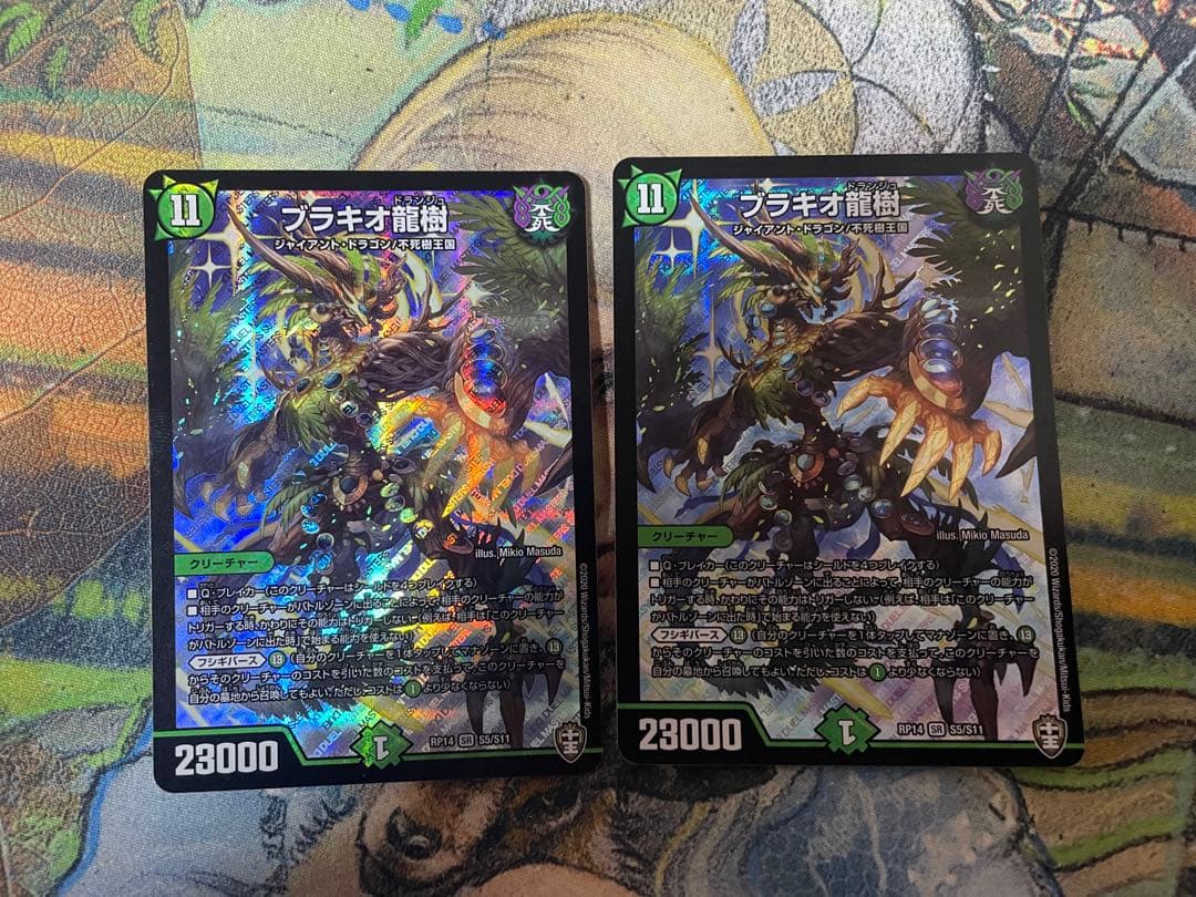 ブラキオ龍樹　2枚セット