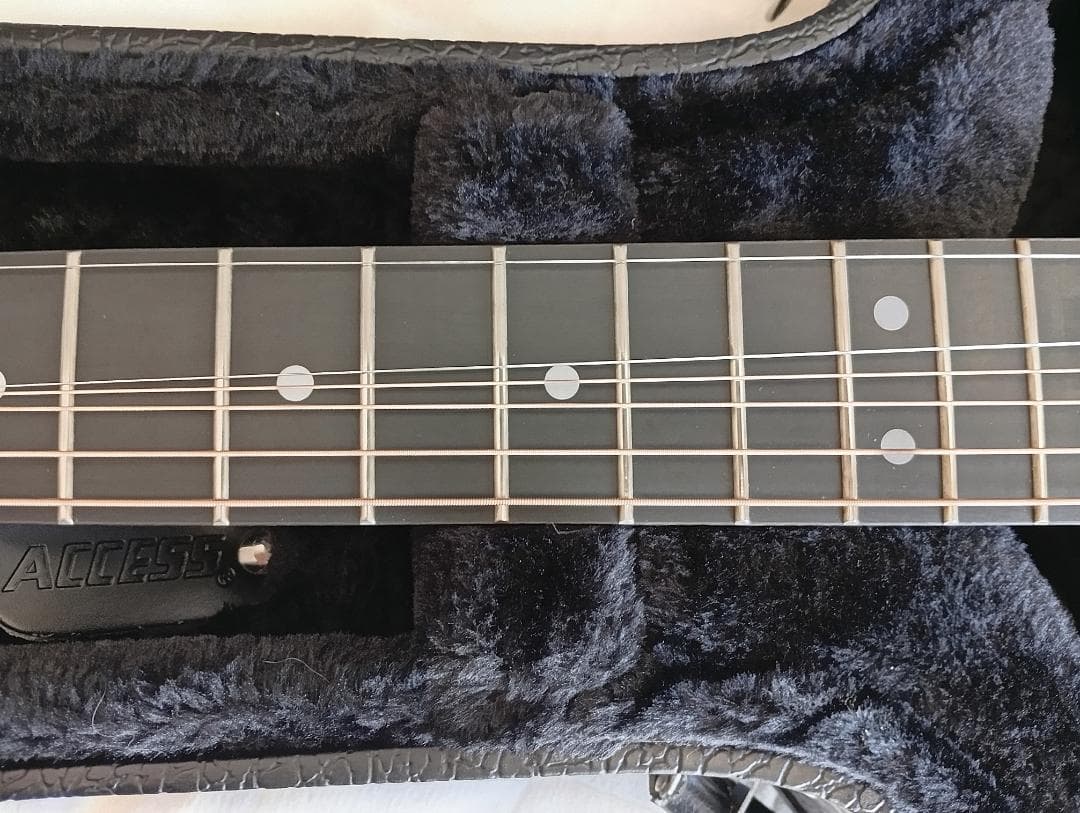 RainSong “Made in U.S.A.”エレアコ w/OHC EX+ - メルカリ