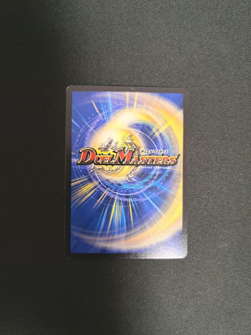 神聖龍 エモーショナル・ハードコア 金