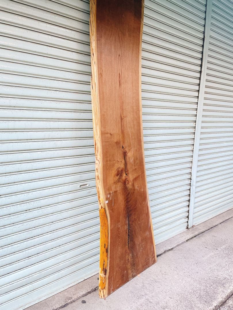 天然キハダ　一枚板　DIY材　材木　テーブル　天板　カウンターテーブル　机