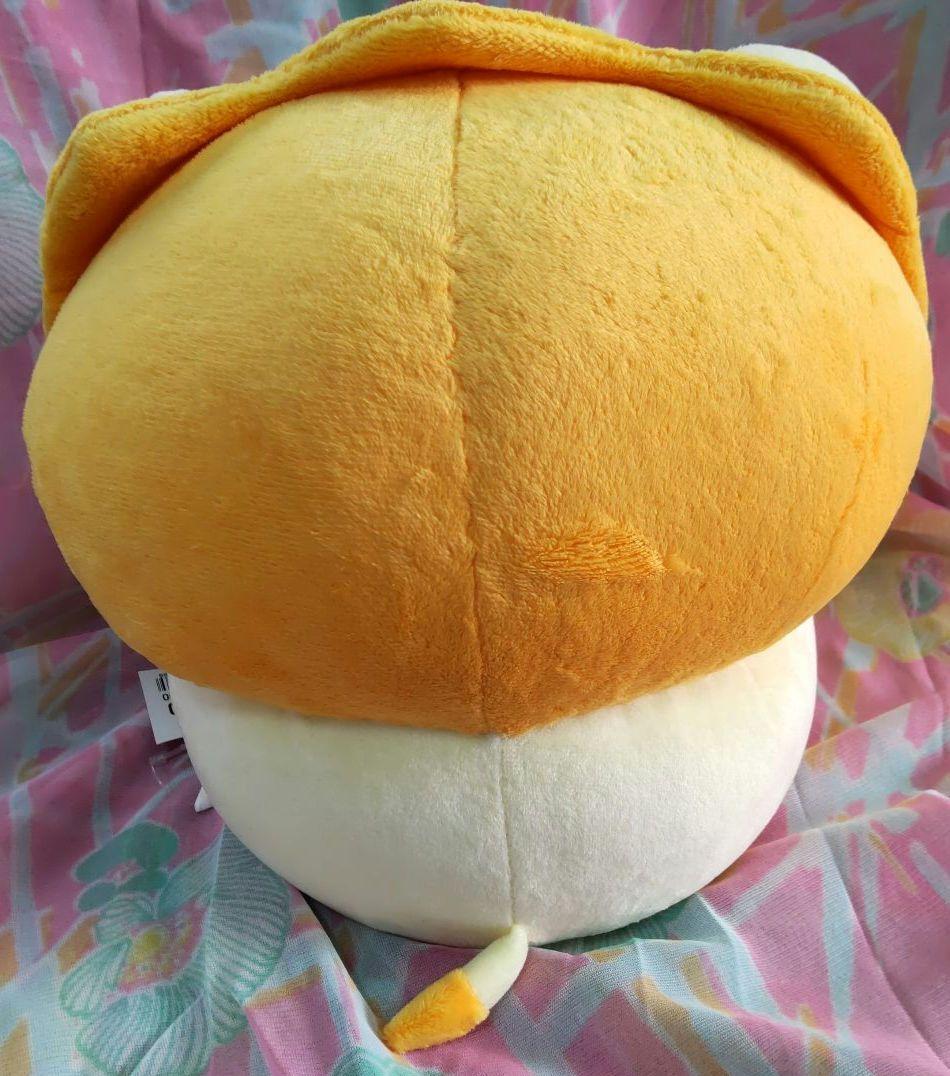 値下げ フリッカ Doぱれっと らいおんのちょこっとレスト まつもと