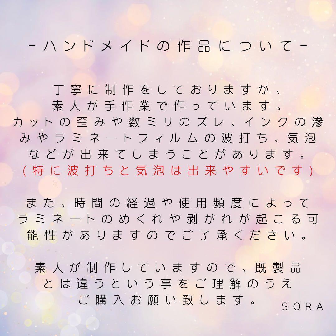 【ルミ子】　No.27プリンセス②×9セット