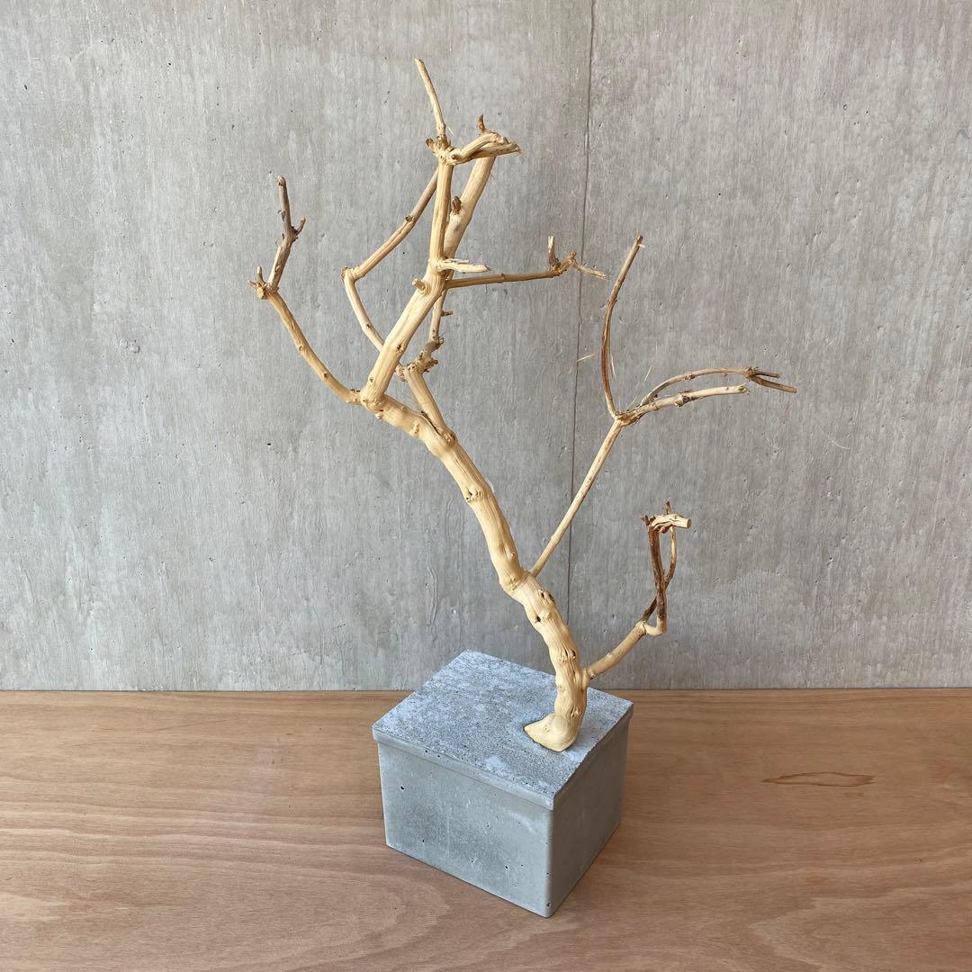 【コンクリート盆栽 流木オブジェ】 アート アクセサリー インテリア 爬虫類