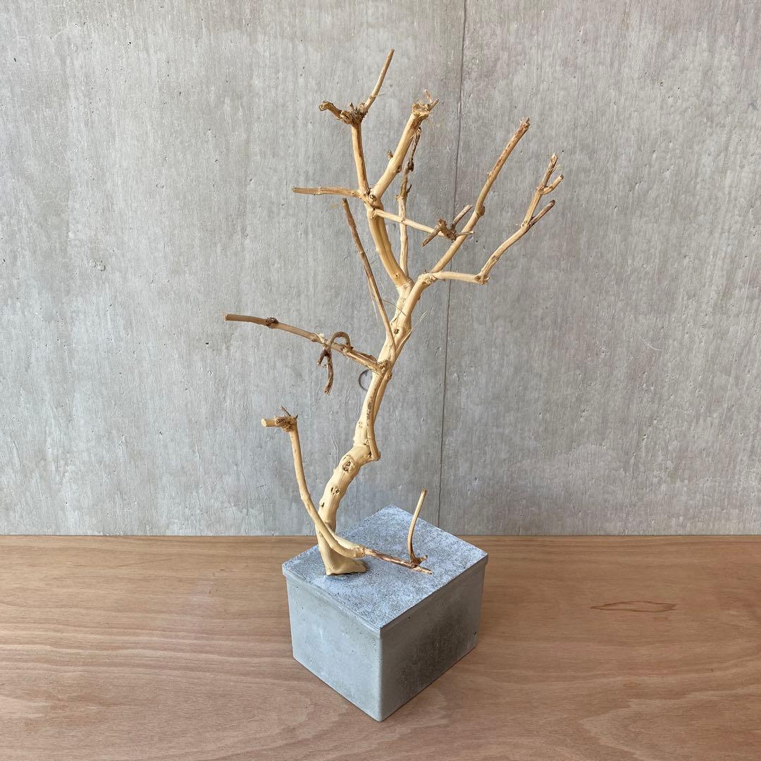 【コンクリート盆栽 流木オブジェ】 アート アクセサリー インテリア 爬虫類