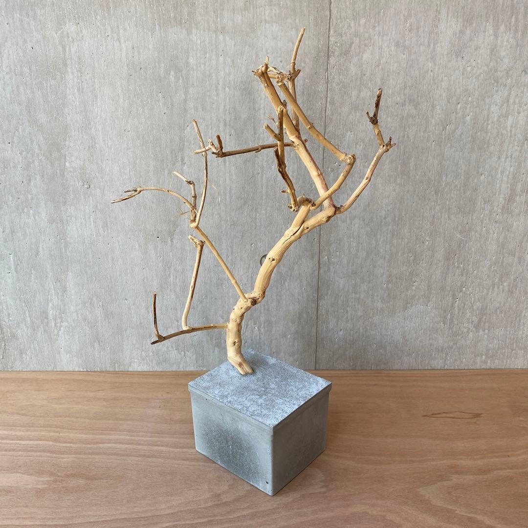 【コンクリート盆栽 流木オブジェ】 アート アクセサリー インテリア 爬虫類