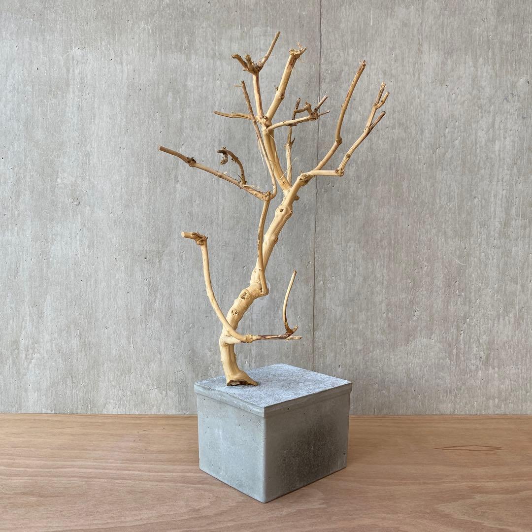 【コンクリート盆栽 流木オブジェ】 アート アクセサリー インテリア 爬虫類