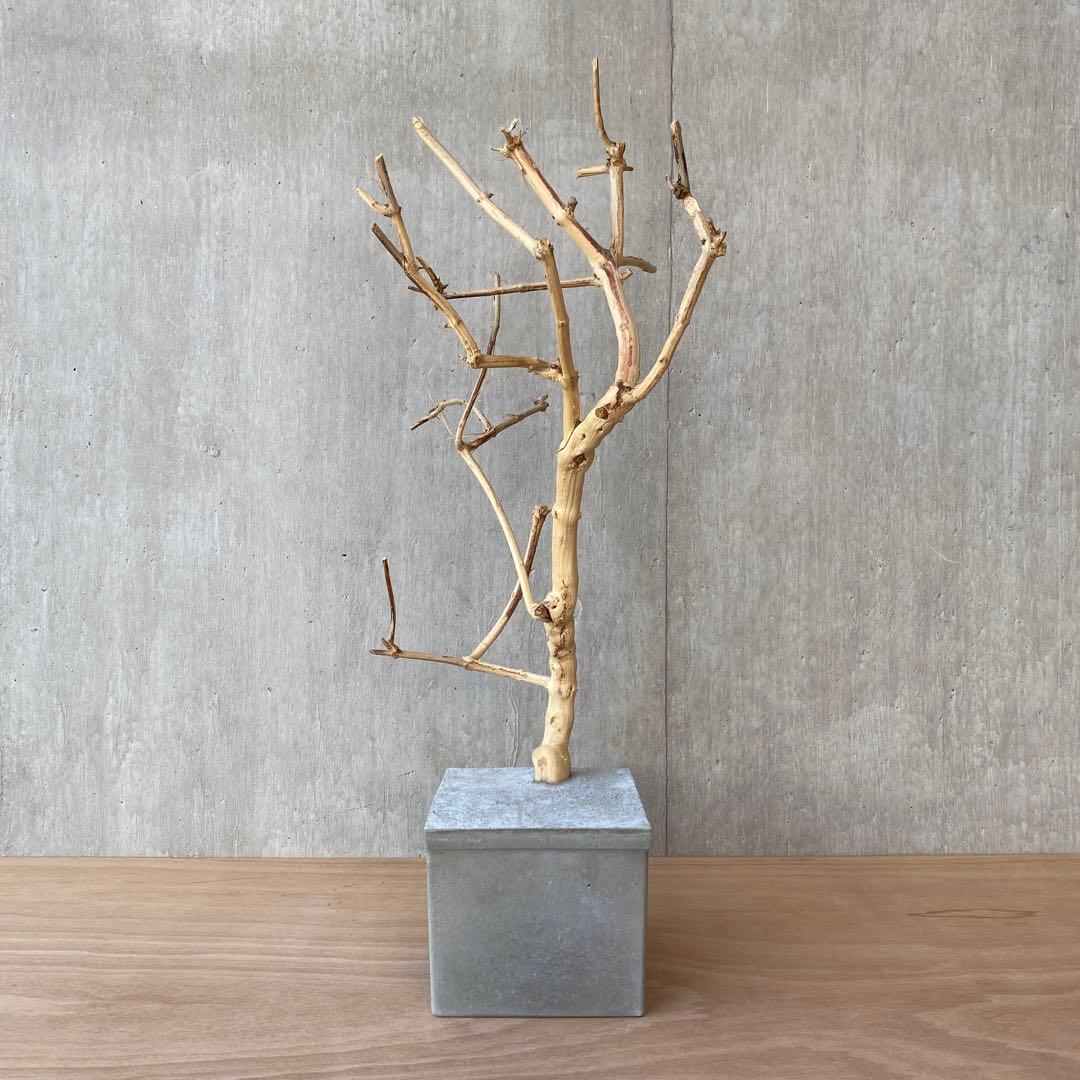 【コンクリート盆栽 流木オブジェ】 アート アクセサリー インテリア 爬虫類