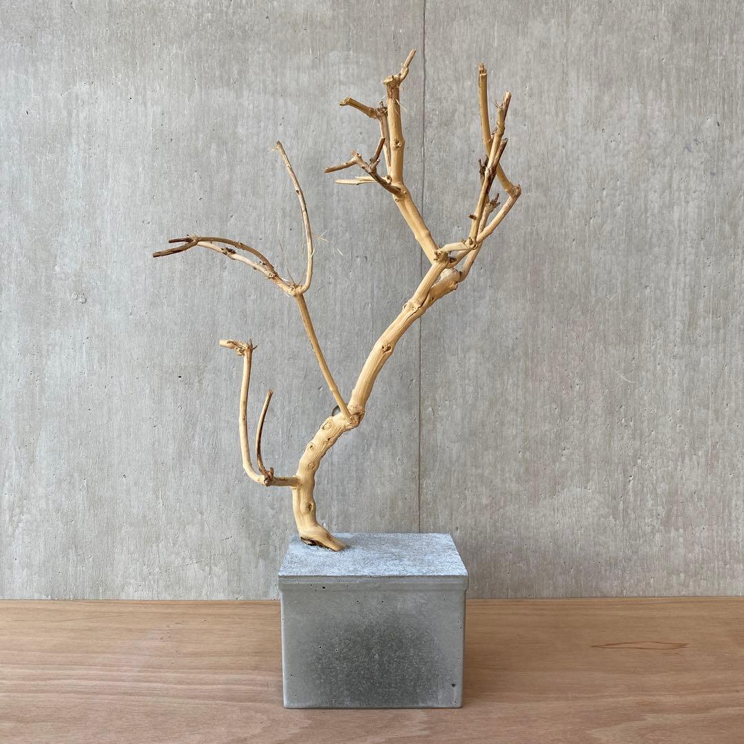 【コンクリート盆栽 流木オブジェ】 アート アクセサリー インテリア 爬虫類