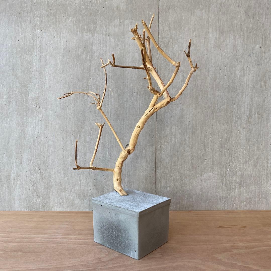 【コンクリート盆栽 流木オブジェ】 アート アクセサリー インテリア 爬虫類