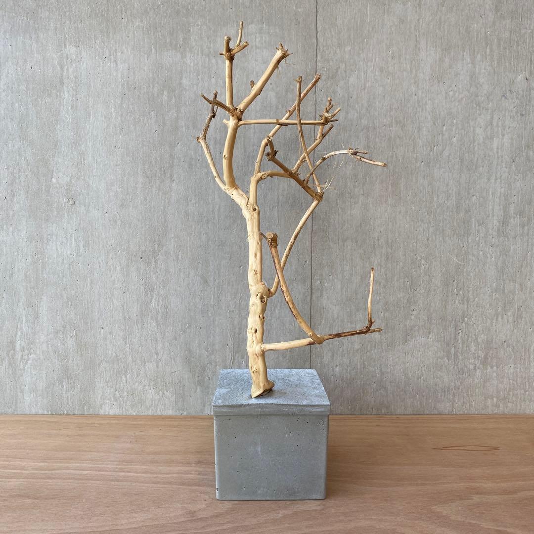 【コンクリート盆栽 流木オブジェ】 アート アクセサリー インテリア 爬虫類
