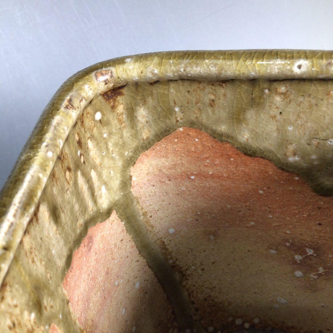 N244 菱水指 『信楽焼』『保庭楽入造』『久田宗也 尋牛斎 箱書