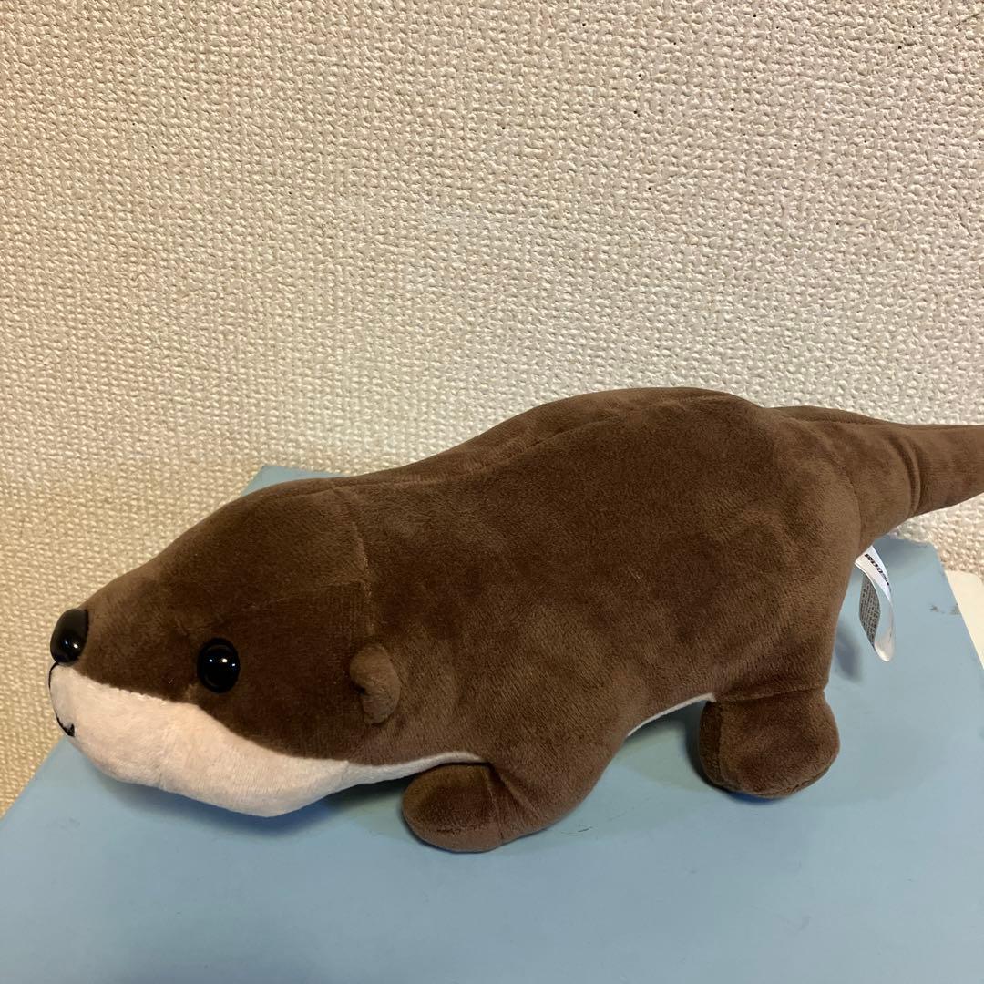 南知多ビーチランド カワウソもちもちぬいぐるみ 水族館人気者 もっ