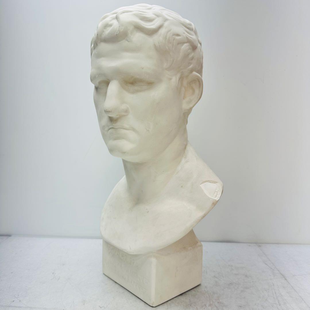 アグリッパ胸像　石膏像