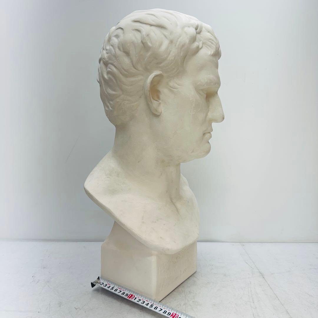 アグリッパ胸像　石膏像