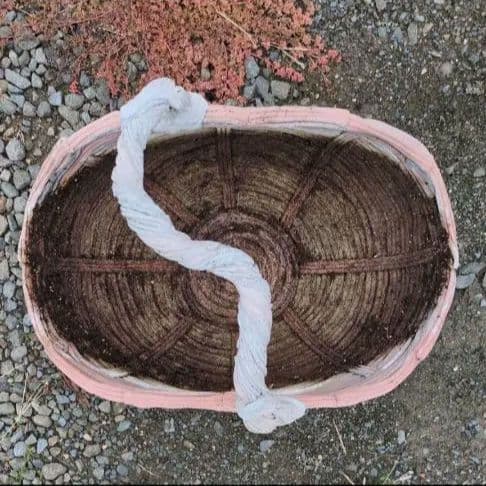 綱木紋 ハイジ 植木鉢 鉢 ハンギング ガーデニング 花壇 欧州