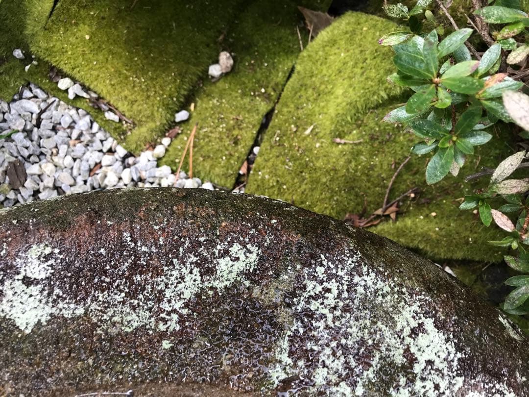 【蹲・水鉢・向鉢】オブジェ・庭石・置物・石鉢・ガーデニング・バードバス・