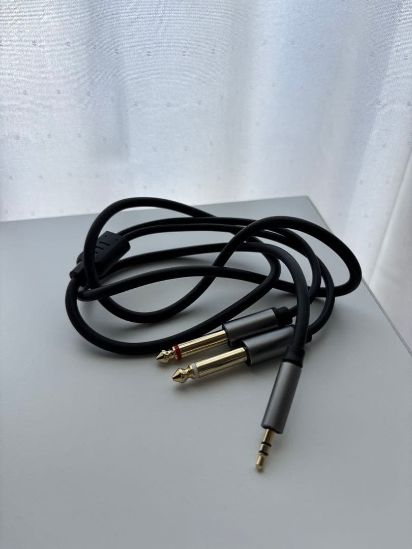 3DIO FS マイク ハードケース付き