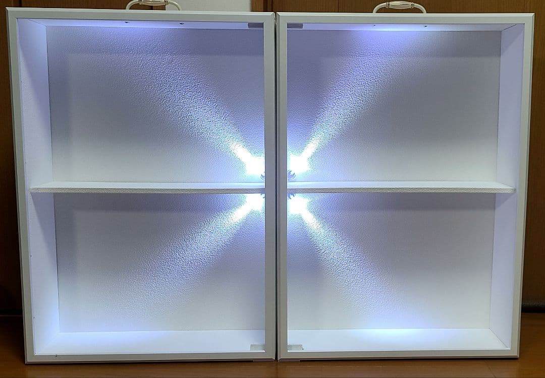 ブライス　大型ドールケース白　セパレート