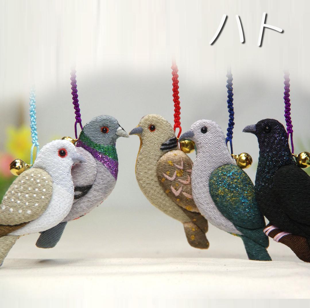 ベニバト　ジュズカケバト　アオバト　ギンバト