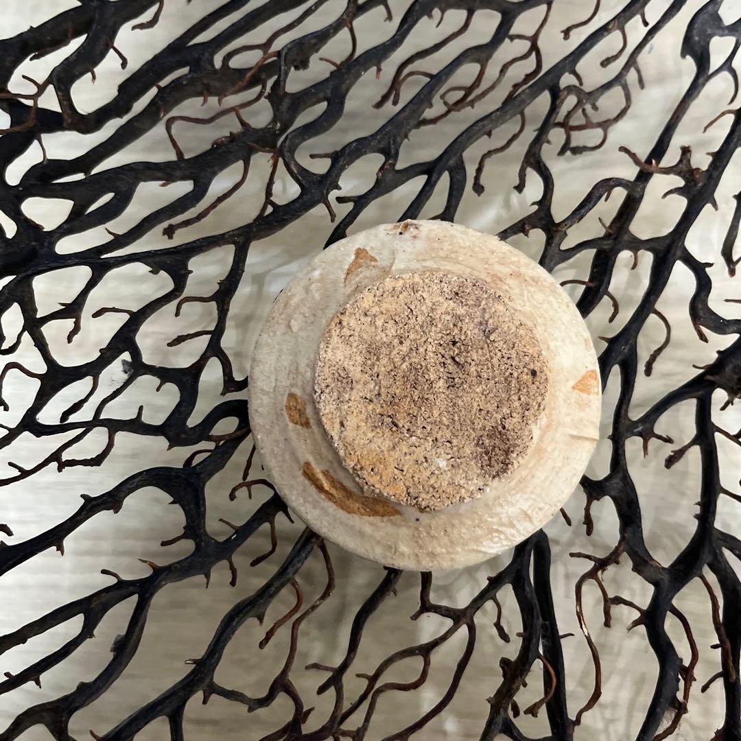 骨董 美濃焼 絵瀬戸 鉄釉 超希少！化け猫騒動 吹き墨 妖怪豆