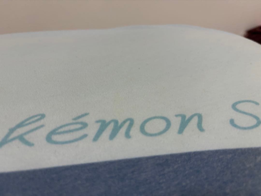 ポケモン ギガ枕 EX カビゴン