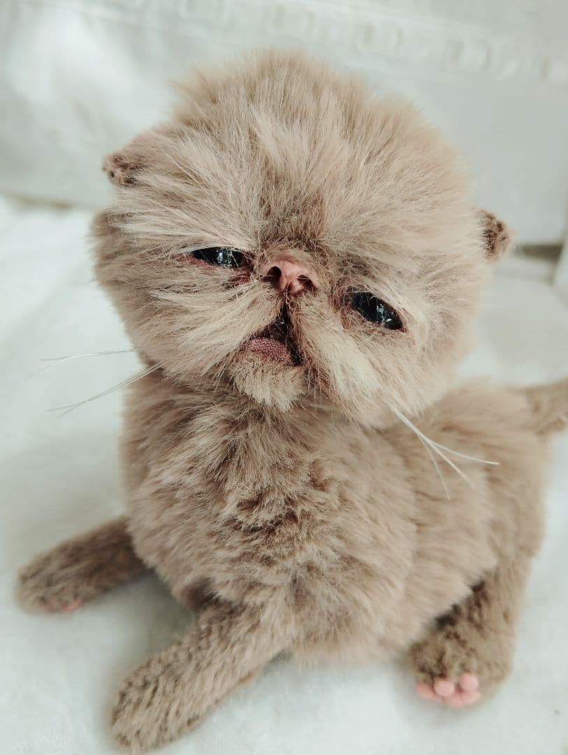 生後10日♡モカ色子猫ちゃん♡アートドール♡ぬいぐるみ♡