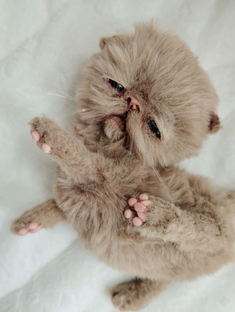 生後10日♡モカ色子猫ちゃん♡アートドール♡ぬいぐるみ♡