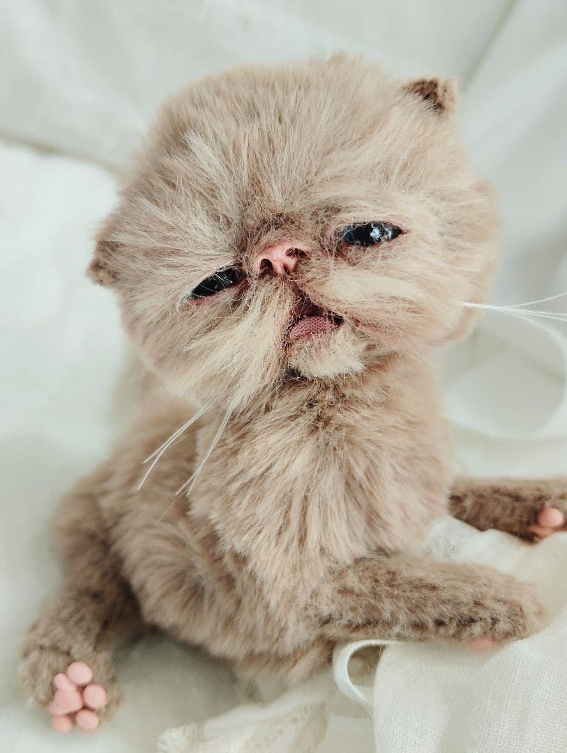 生後10日♡モカ色子猫ちゃん♡アートドール♡ぬいぐるみ♡