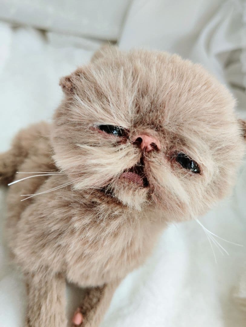 生後10日♡モカ色子猫ちゃん♡アートドール♡ぬいぐるみ♡