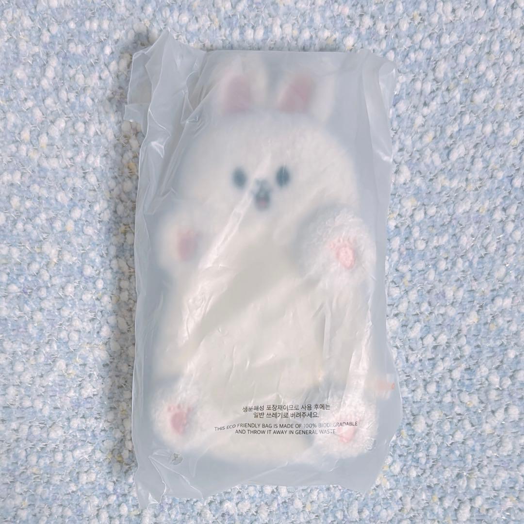 未使用】Straykids リノ トレカケース skzoo Leebit - メルカリ