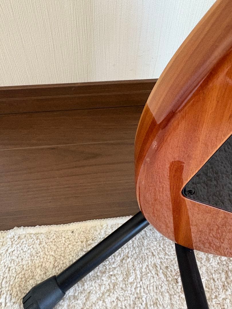 PRS seカスタム24