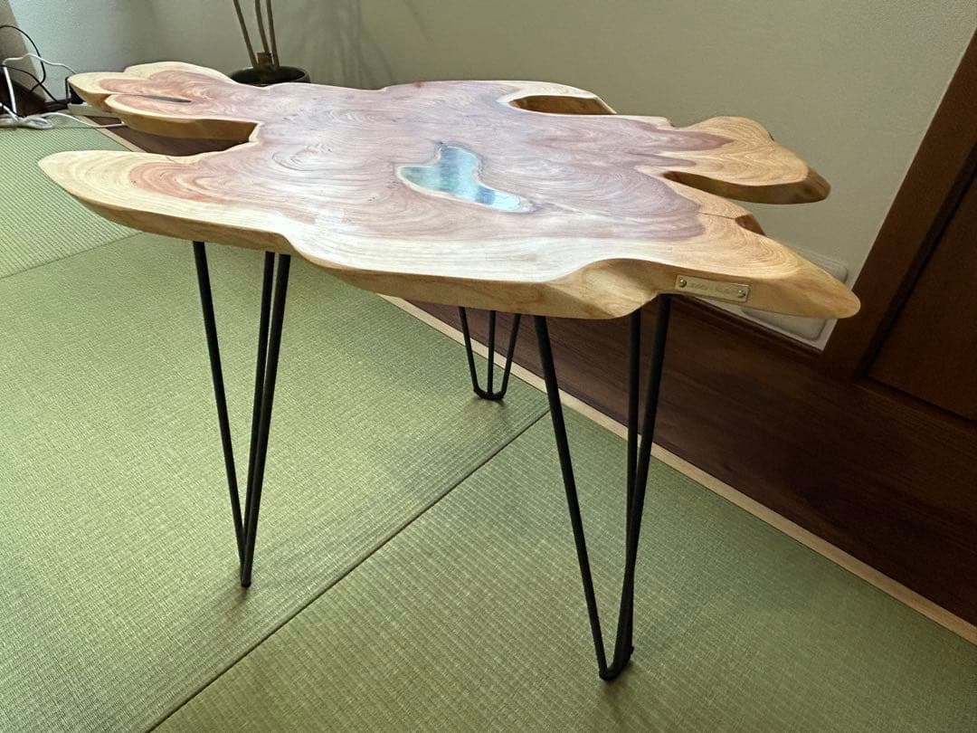 レジンテーブル、貝塚伊吹　輪切