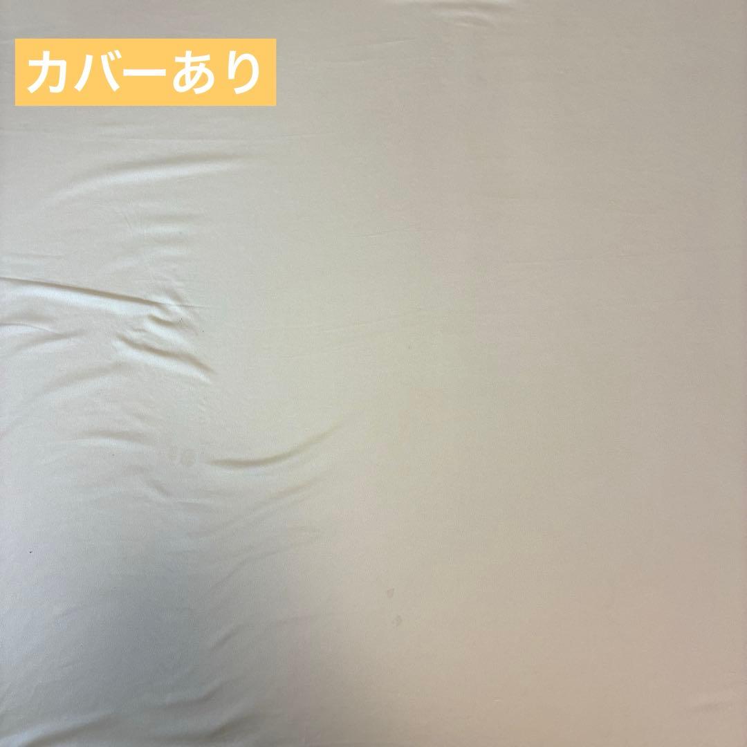 トゥルースリーパー プレミアム マットレス ダブル 5cm 1年使用・へたり極少