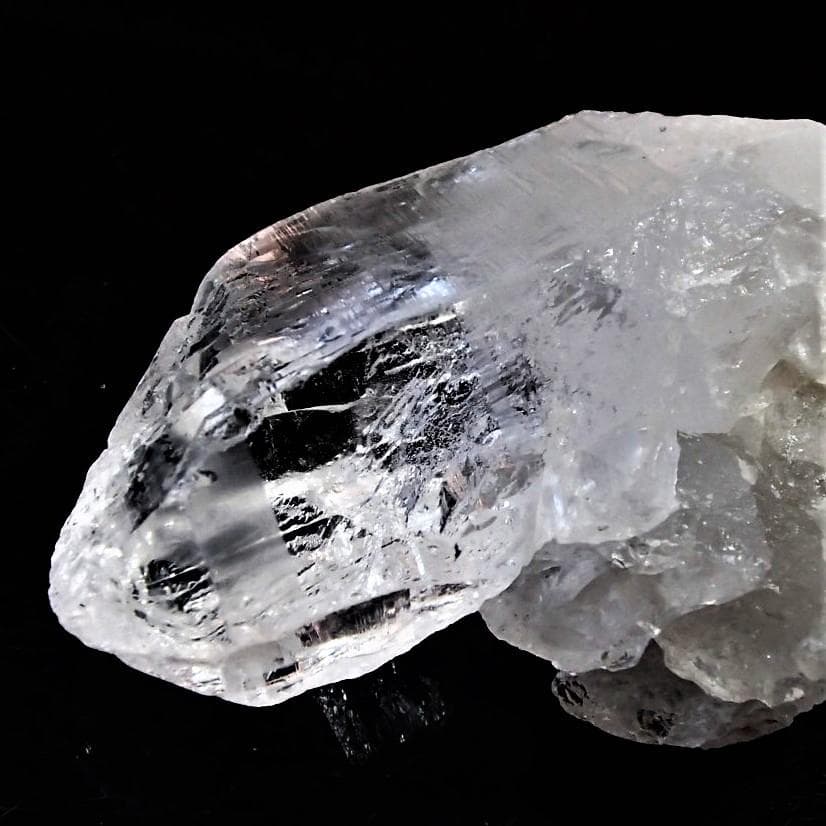 値下しました！ティップリン産ポイント-100-1