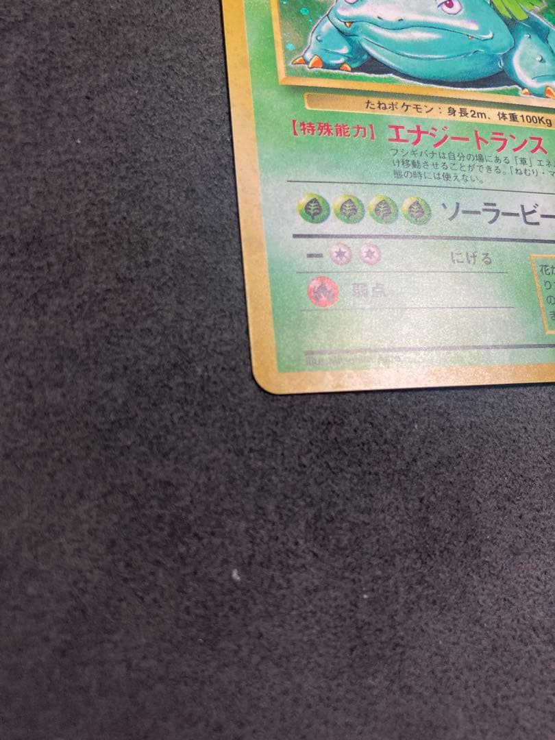 中*迎様 《美品》旧裏　フシギバナ ★ 第1弾拡張パック