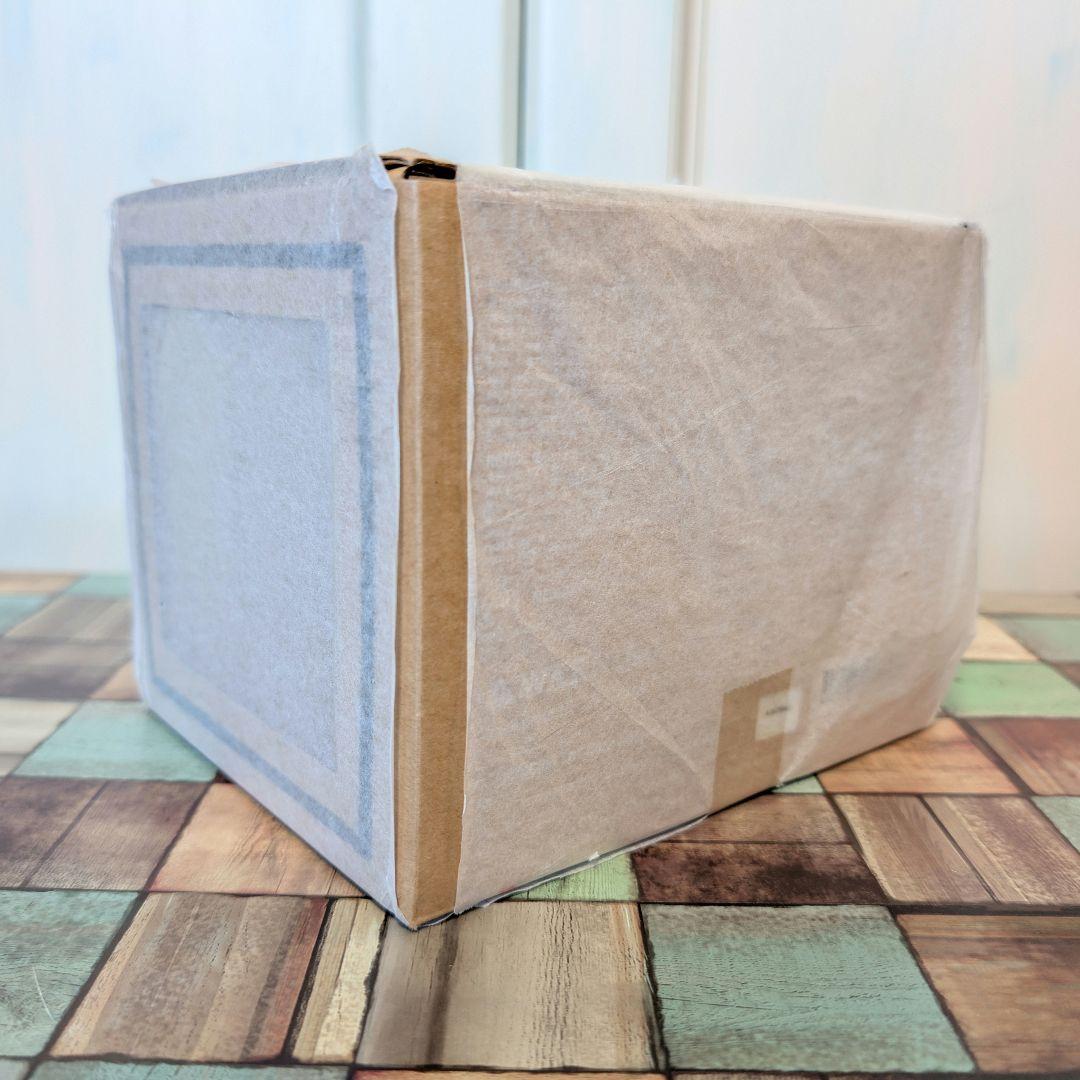 VCD スヌーピー 1953 フィギュア Medicom toy　未開封