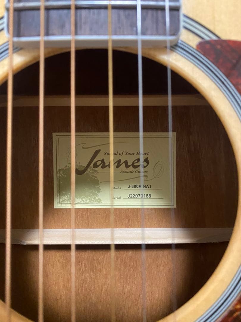 【一式6点セット】James J-300 NAT アコースティックギター