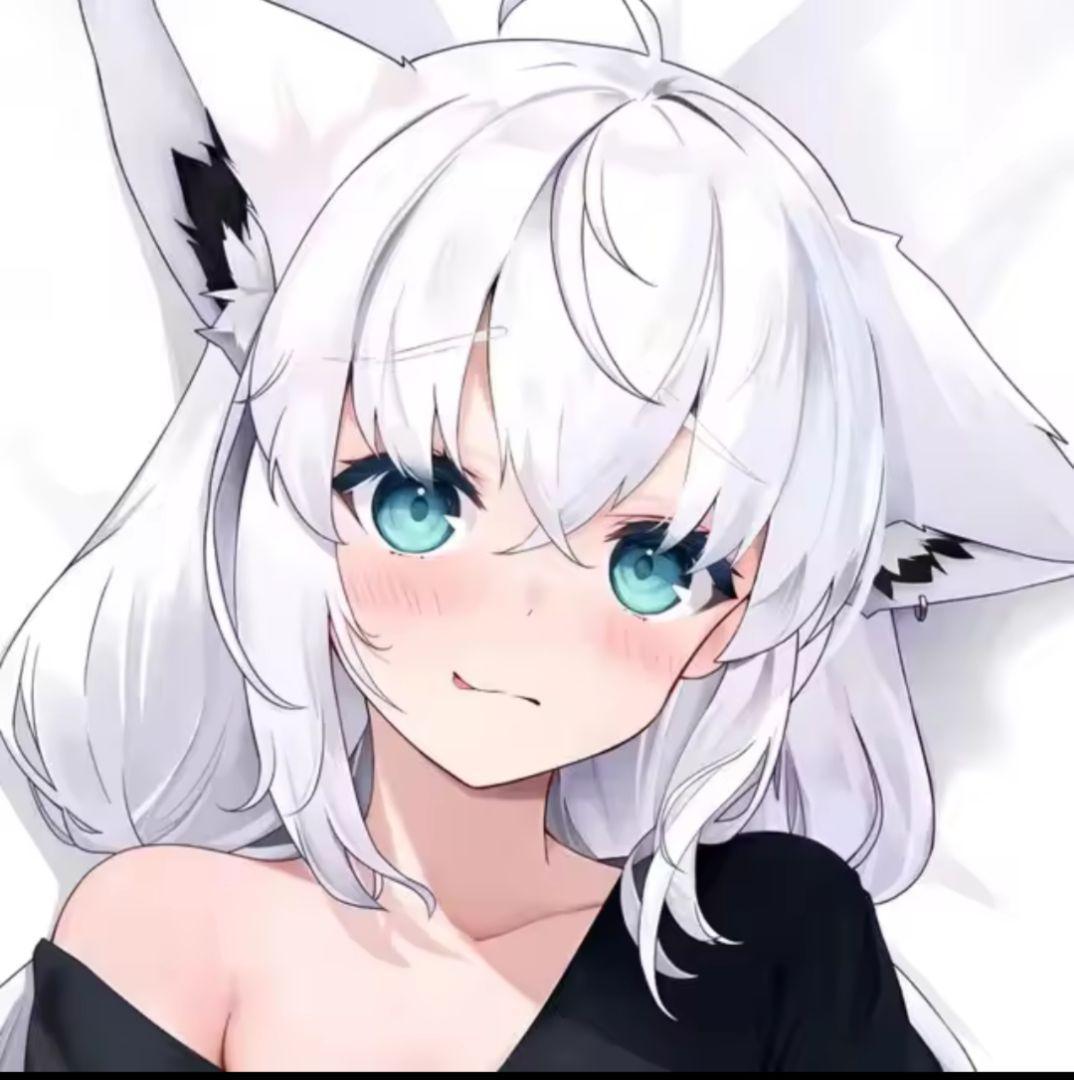 ホロライブ 白上フブキ 抱き枕カバー - メルカリ